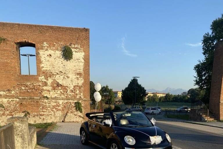 Noleggio maggiolino new beetle