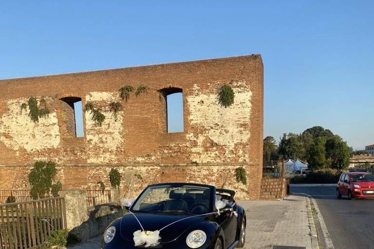 Noleggio maggiolino new beetle