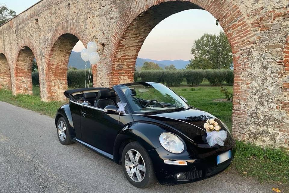 Noleggio maggiolino new beetle