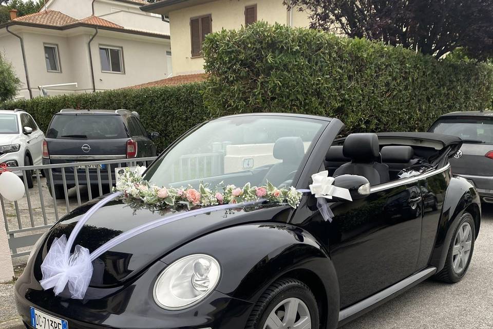 Noleggio new Beetle