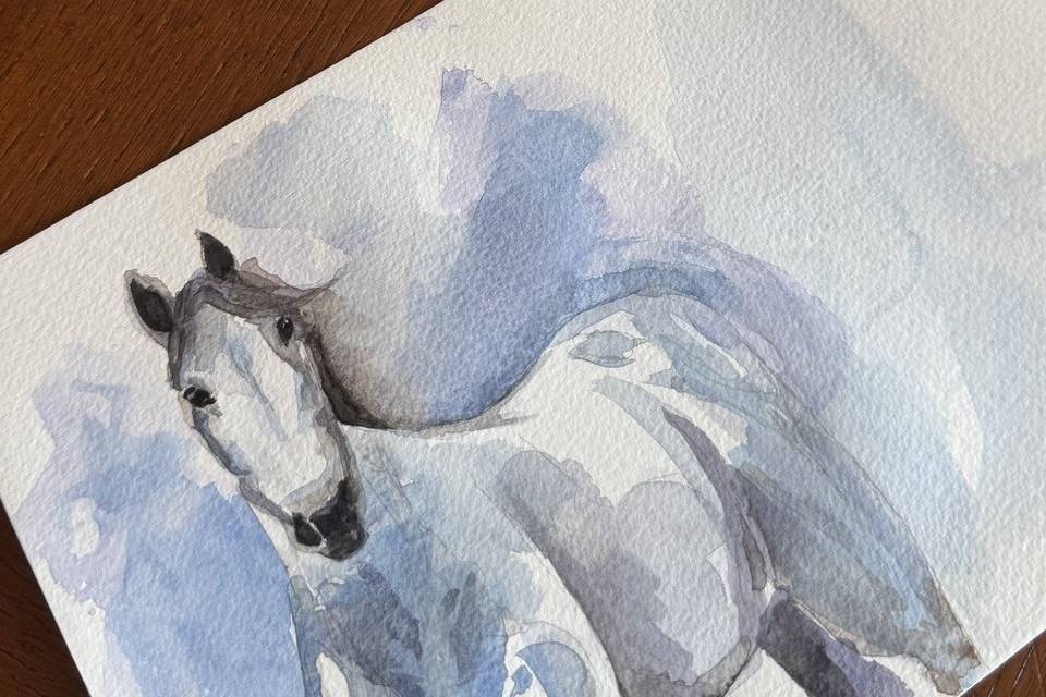 Cavallo acquerello