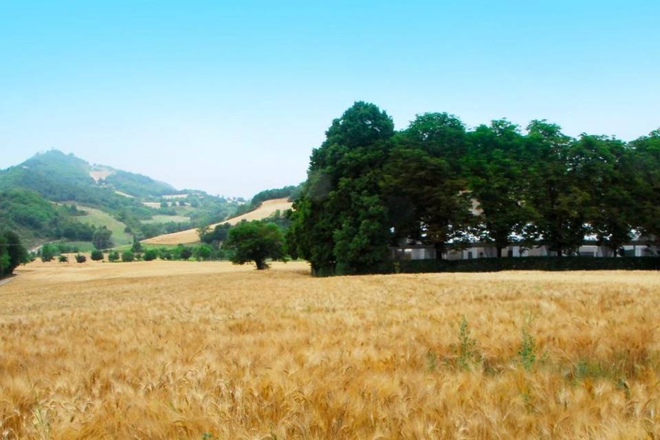 Vista campo e proprietà
