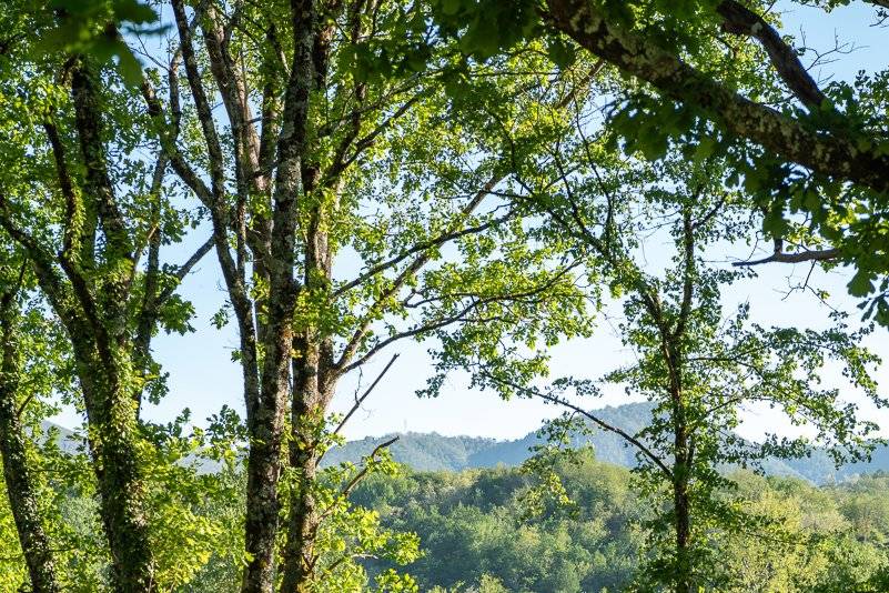La natura incontaminata della
