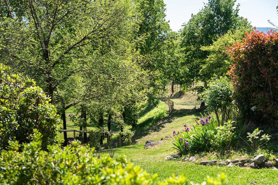Quattro ettari di natura intor
