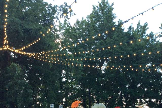 Allegria in campagna