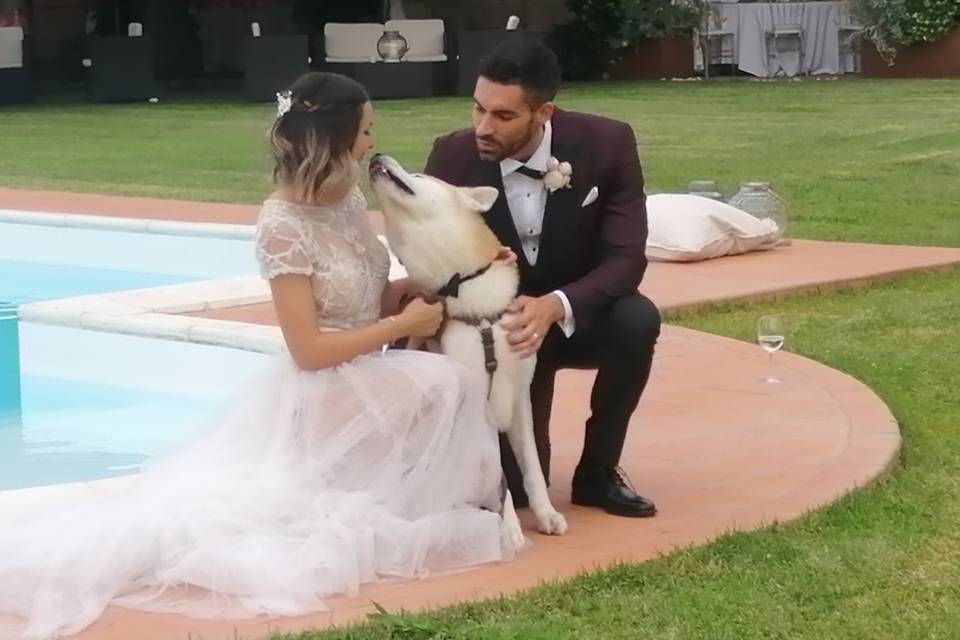 Wedding Family Dogs