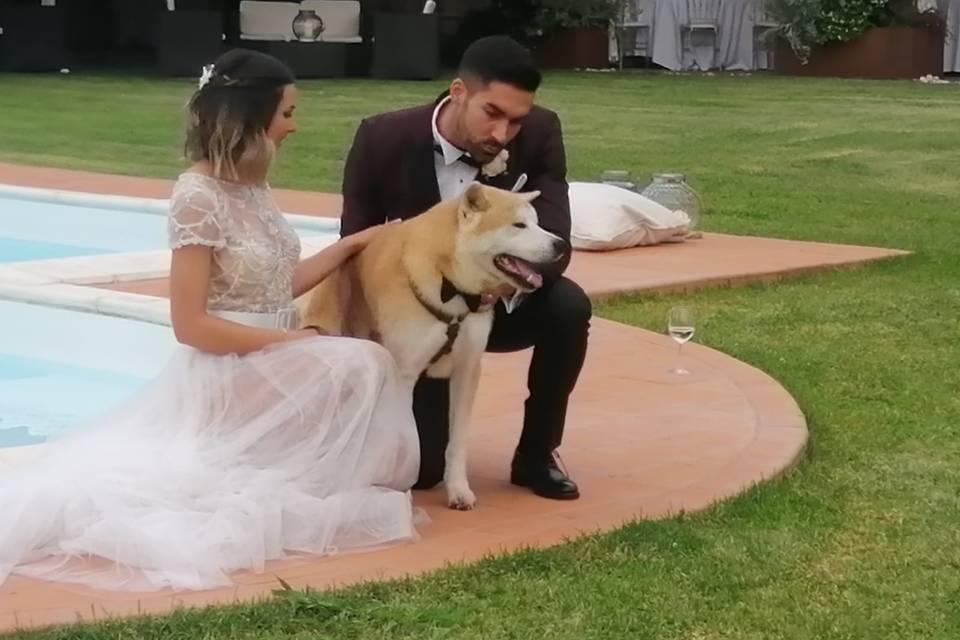 Wedding Family Dogs