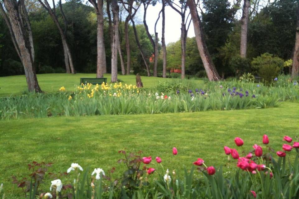 Fiori Colorati