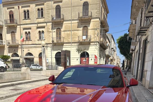 Mustang Dreams