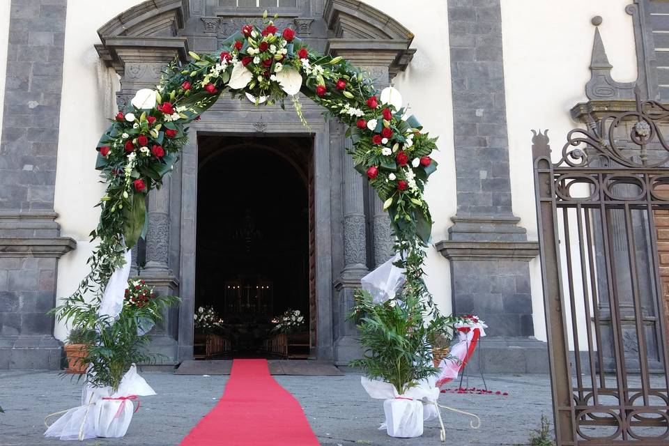 Il Tulipano di Maccarrone Antonino