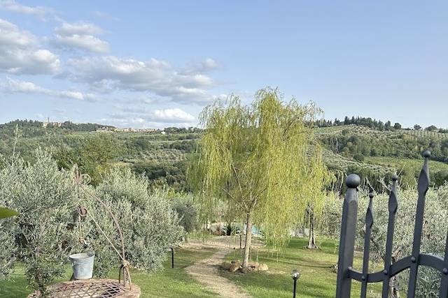 Ingresso nel verde