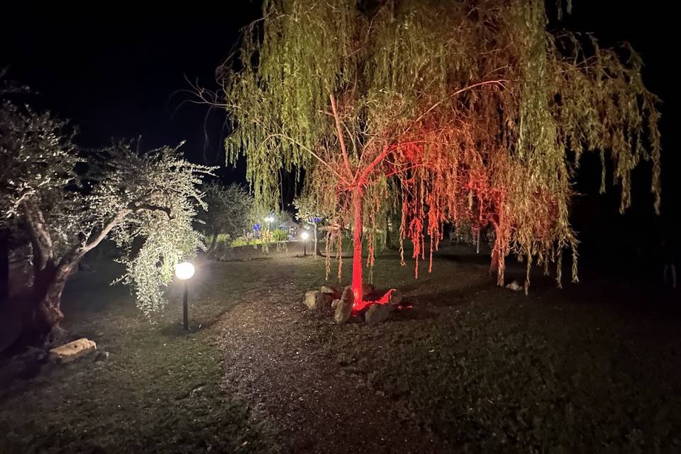 Giardino illuminato