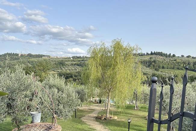 Ingresso nel verde