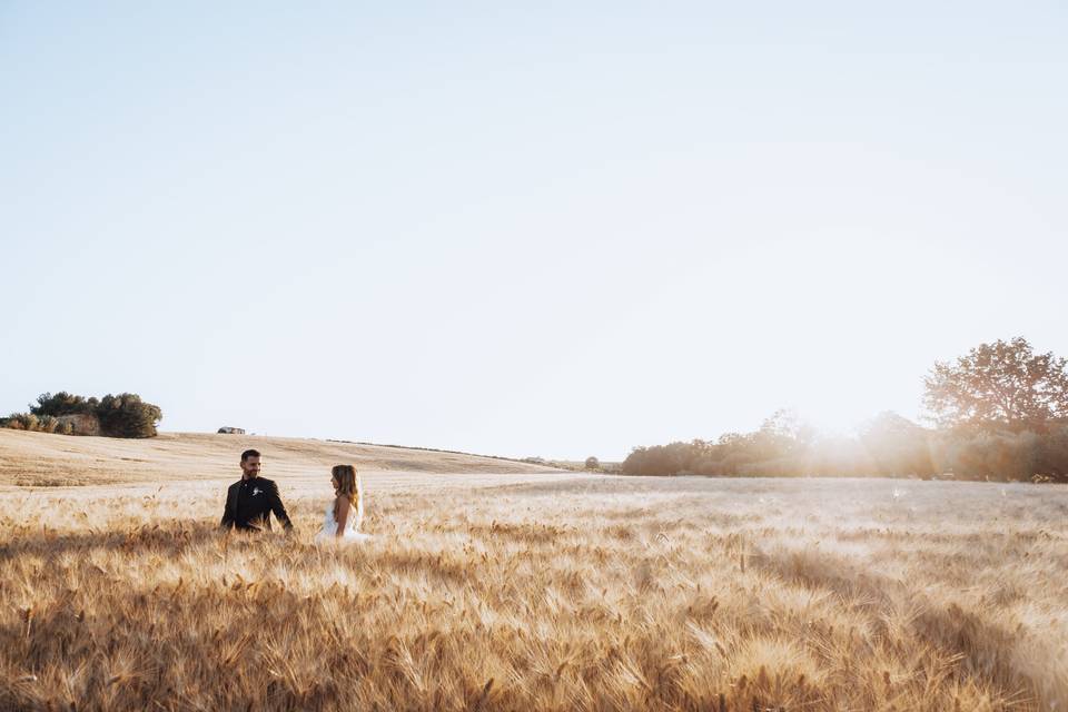 Nel campo di grano