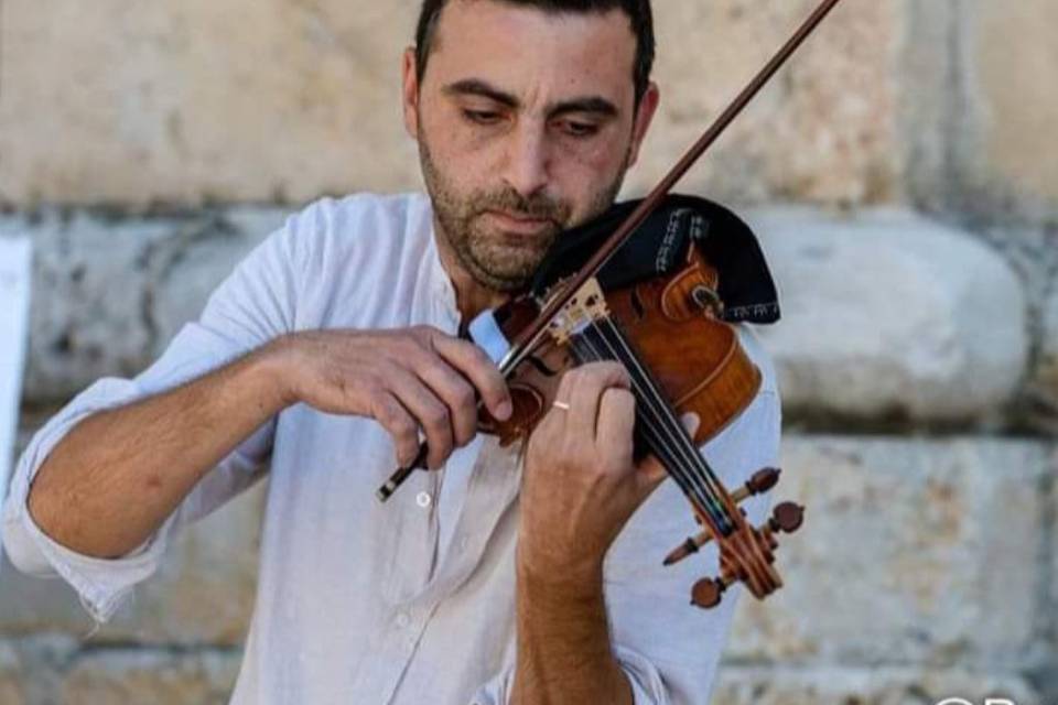 Violin's Art