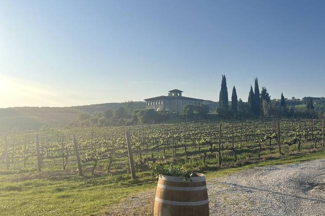 Tenute vinicole in Umbria