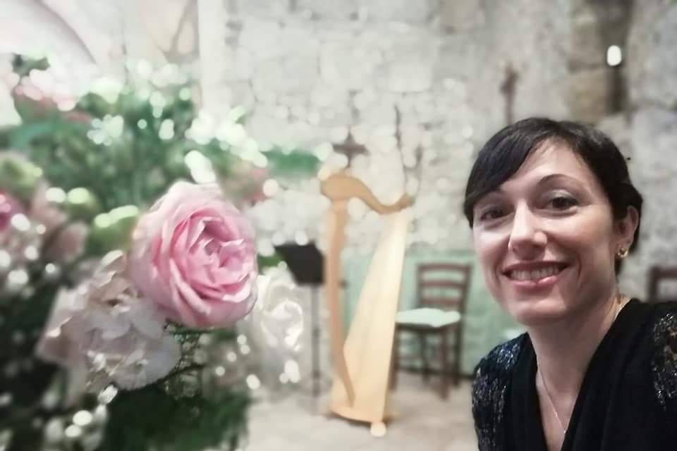 Harps and Arts